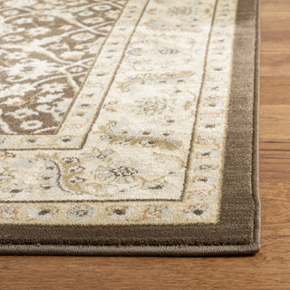 Safavieh Florenteen FLR126 Brown / Ivory Area Rug