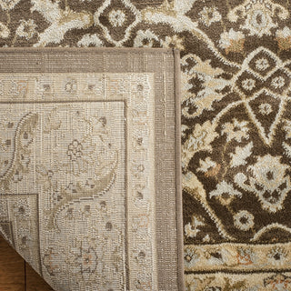 Safavieh Florenteen FLR126 Brown / Ivory Area Rug