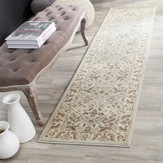 Safavieh Florenteen FLR126 Grey / Ivory Area Rug