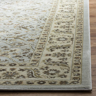 Safavieh Florenteen FLR126 Grey / Ivory Area Rug