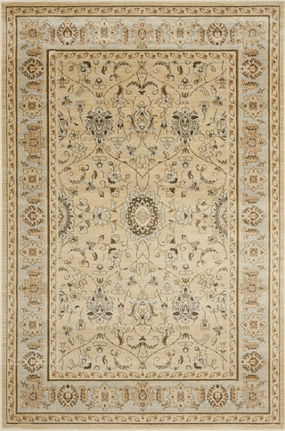 Safavieh Florenteen FLR127 Ivory / Grey Area Rug