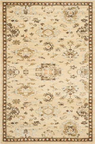 Safavieh Florenteen FLR128 Ivory / Brown Area Rug