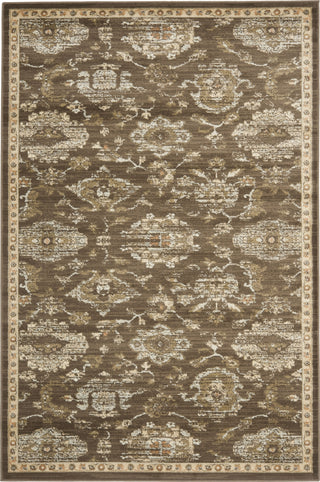 Safavieh Florenteen FLR128 Brown / Ivory Area Rug