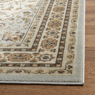 Safavieh Florenteen FLR130 Grey / Ivory Area Rug