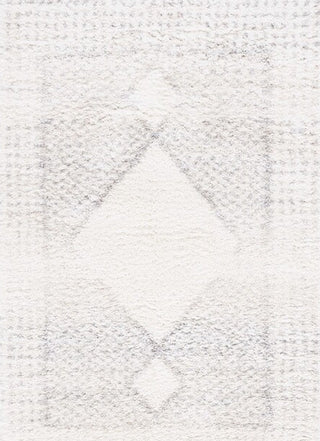 Safavieh Fontana Shag FNT827 Ivory / Grey Area Rug