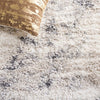 Safavieh Fontana Shag FNT831 Ivory / Grey Area Rug