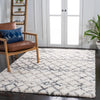 Safavieh Fontana Shag FNT845 Ivory / Grey Area Rug