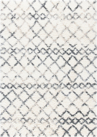 Safavieh Fontana Shag FNT845 Ivory / Grey Area Rug