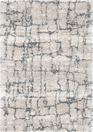 Safavieh Fontana Shag FNT851 Ivory / Grey Area Rug