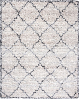 Safavieh Fontana Shag FNT854 Ivory / Grey Area Rug