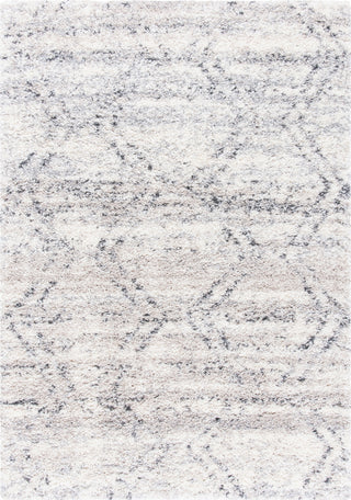 Safavieh Fontana Shag FNT881 Ivory / Grey Area Rug