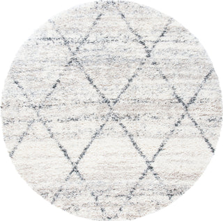 Safavieh Fontana Shag FNT886 Grey / Ivory Area Rug