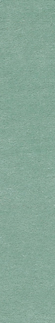Safavieh Fifth Avenue FTV128Y Green Area Rug main image