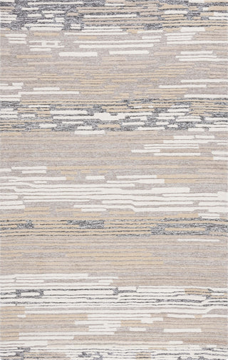 Safavieh Fifth Avenue FTV131B Natural / Beige Area Rug Main