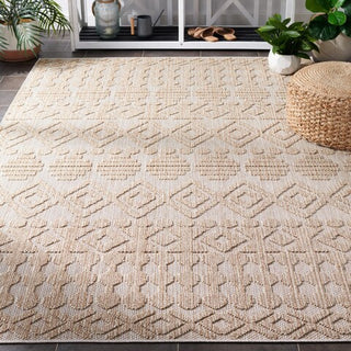 Safavieh Global GLB214 Beige / Brown Area Rug