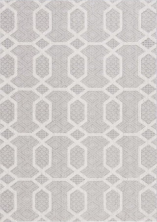 Safavieh Global GLB416 Grey / Ivory Area Rug