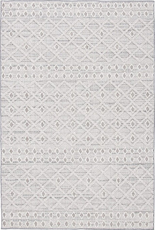 Safavieh Global GLB870 Grey / Ivory Area Rug