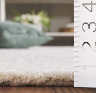 Safavieh Glamour GLM620A Ivory Area Rug Detail