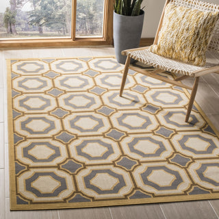 Safavieh Hampton HAM509 Dark Grey / Ivory Area Rug