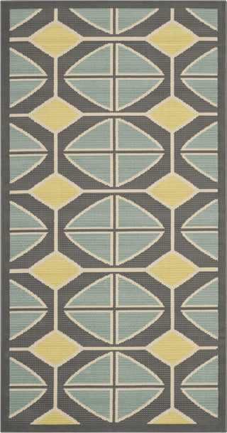 Safavieh Hampton HAM510 Dark Grey / Light Blue Area Rug main image