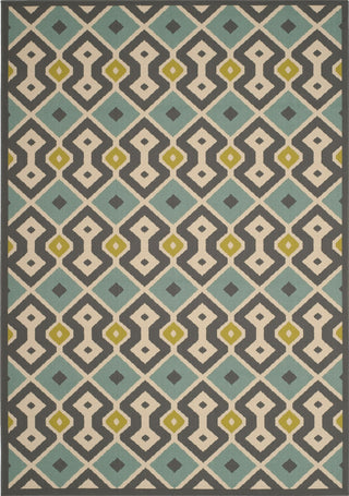 Safavieh Hampton HAM511 Dark Grey / Light Blue Area Rug