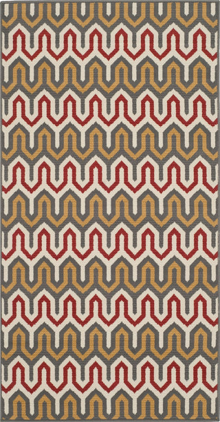 Safavieh Hampton HAM516 Dark Grey / Rust Area Rug