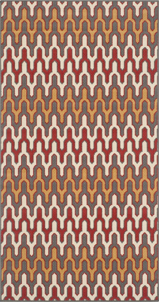 Safavieh Hampton HAM518 Dark Grey / Rust Area Rug