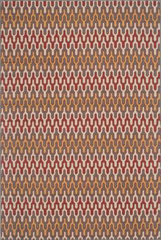 Safavieh Hampton HAM518 Dark Grey / Rust Area Rug