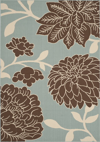 Safavieh Hampton HAM552 Light Blue / Brown Area Rug main image