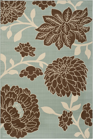 Safavieh Hampton HAM552 Light Blue / Brown Area Rug Main