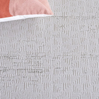 Safavieh Hanna HAN110 Grey / Ivory Area Rug