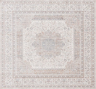 Safavieh Harlow HAR160 Ivory / Grey Beige Area Rug