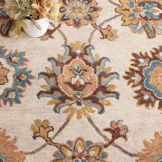 Safavieh Heritage HG554B Beige / Ivory Area Rug Detail