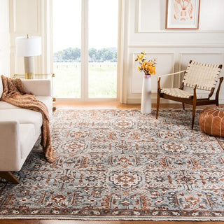 Safavieh Haj Jalili HJ1276 Grey / Rust Area Rug Room Scene Feature