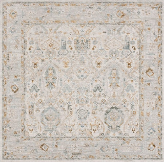 Safavieh Hamilton HLT100 Grey / Blue Area Rug