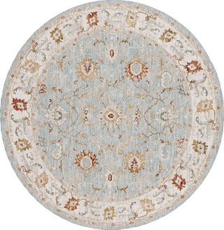 Safavieh Hamilton HLT102 Blue / Gold Area Rug