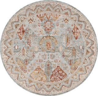 Safavieh Hamilton HLT104 Blue / Gold Rust Area Rug