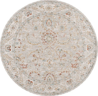 Safavieh Hamilton HLT108 Grey / Gold Area Rug