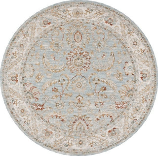 Safavieh Hamilton HLT108 Blue / Gold Area Rug