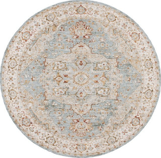 Safavieh Hamilton HLT110 Blue / Grey Area Rug