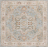 Safavieh Hamilton HLT110 Blue / Grey Area Rug