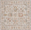 Safavieh Hamilton HLT112 Grey / Rust Area Rug