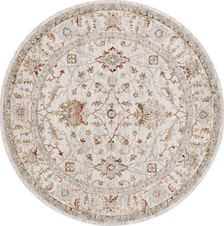 Safavieh Hamilton HLT114 Ivory / Rust Area Rug