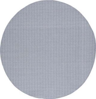 Safavieh Hampton HTN230 Grey / Blue Area Rug