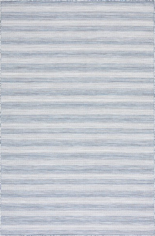 Safavieh Hampton HTN231 Blue Area Rug