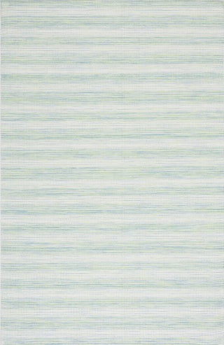 Safavieh Hampton HTN231 Green Area Rug