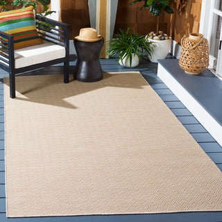 Safavieh Hampton HTN233 Natural Area Rug