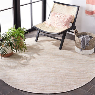 Safavieh Hampton HTN238 Natural Area Rug