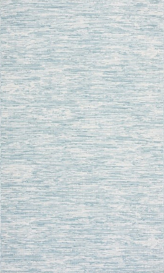 Safavieh Hampton HTN238 Aqua Area Rug