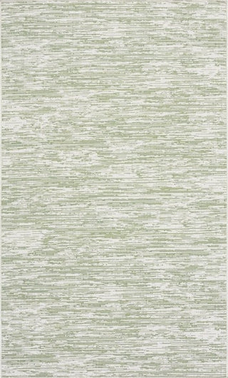 Safavieh Hampton HTN238 Green / Beige Area Rug